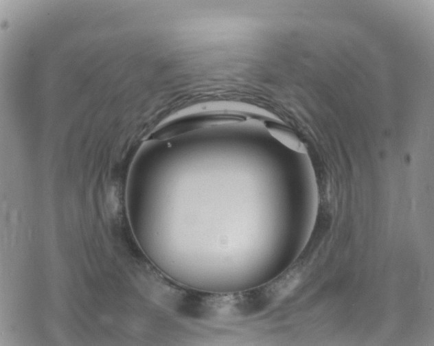 X0000074290131200609011416