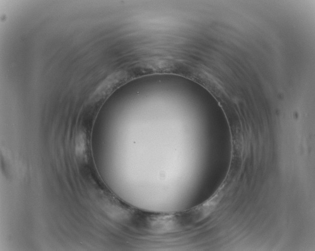 X0000074290132200609011416