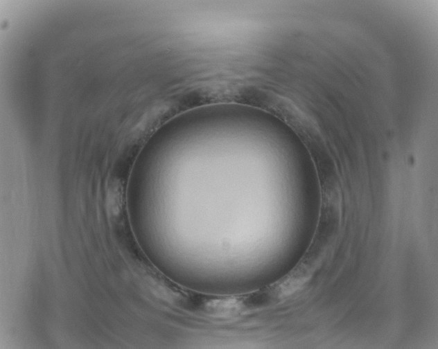 X0000074290133200609011416