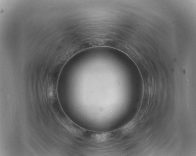 X0000074290134200609011416