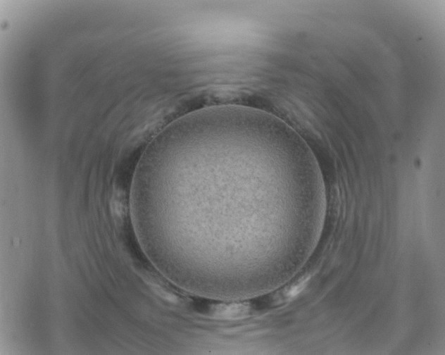 X0000074290135200609011416