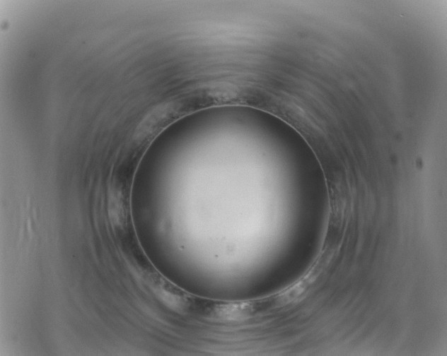 X0000074290136200609011416