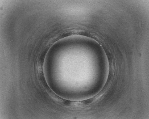 X0000074290137200609011416