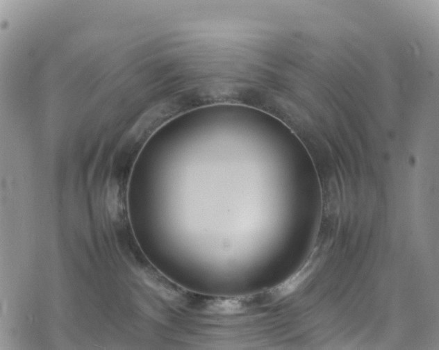 X0000074290140200609011416