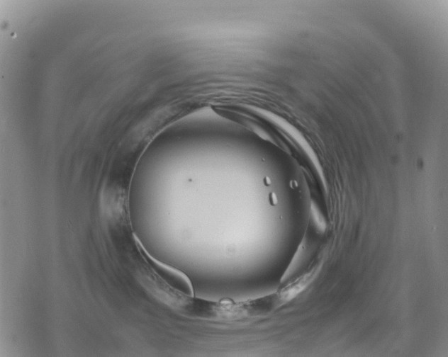 X0000074290141200609011416