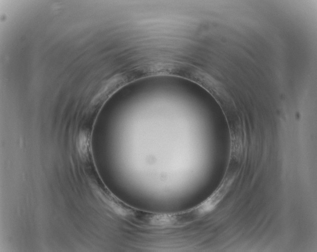 X0000074290142200609011416