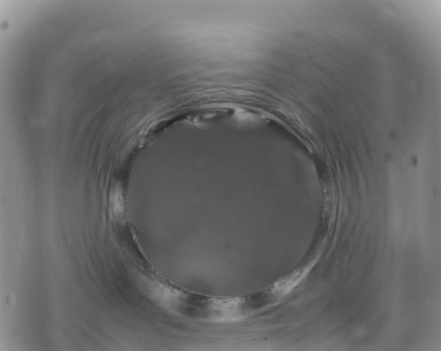 X0000074290143200609011416