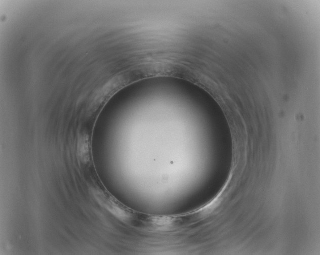 X0000074290144200609011416