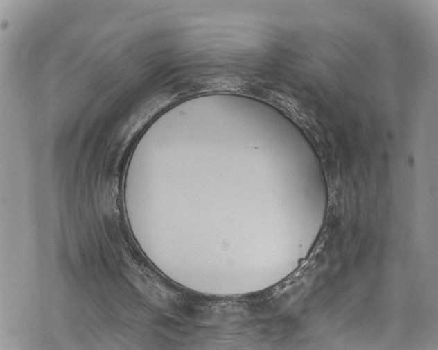 X0000074290146200609011415