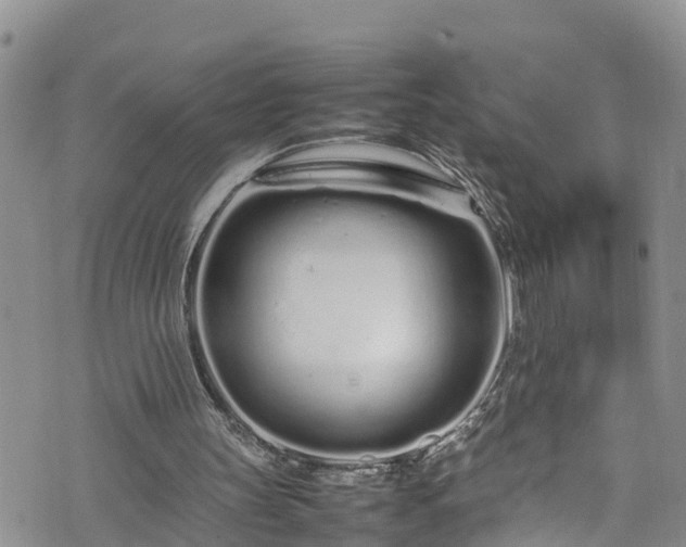 X0000074290147200609011416