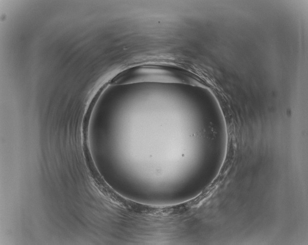 X0000074290148200609011416