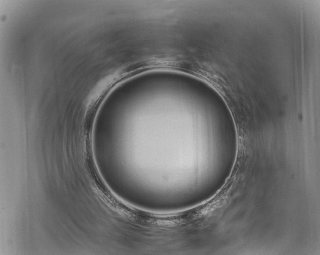 X0000074290149200609011416