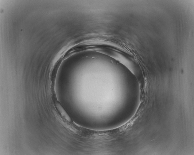 X0000074290150200609011416