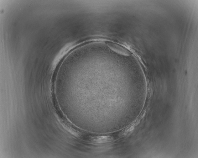 X0000074290151200609011416