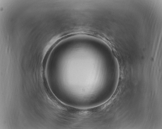 X0000074290152200609011416