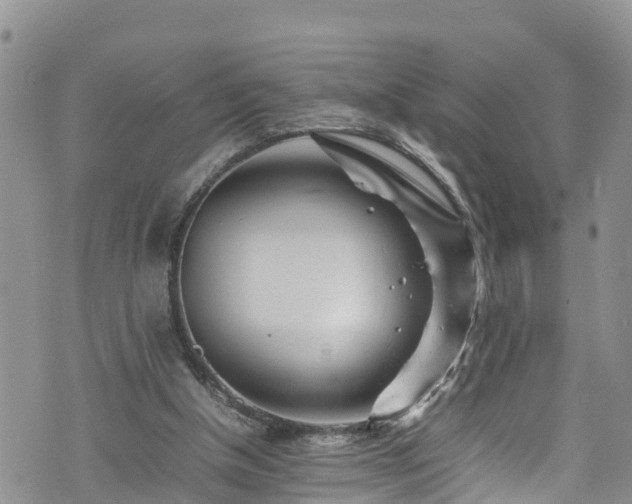 X0000074290154200609011416