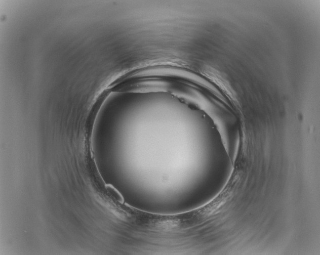 X0000074290156200609011416