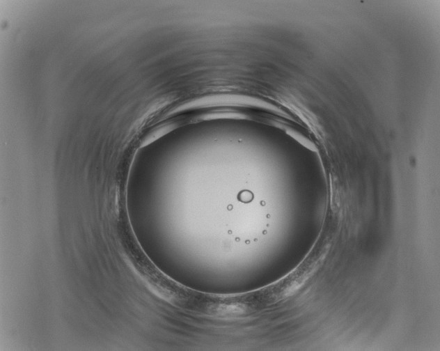 X0000074290157200609011416