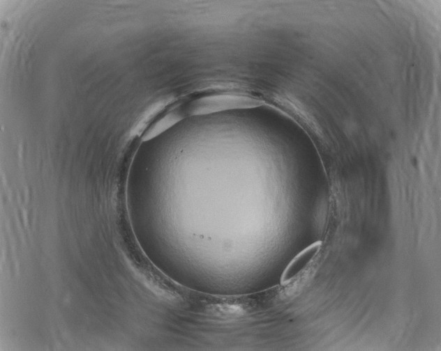 X0000074290159200609011416