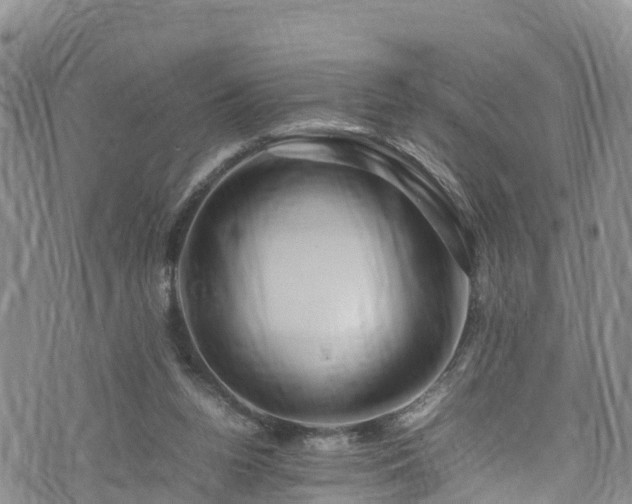 X0000074290160200609011416