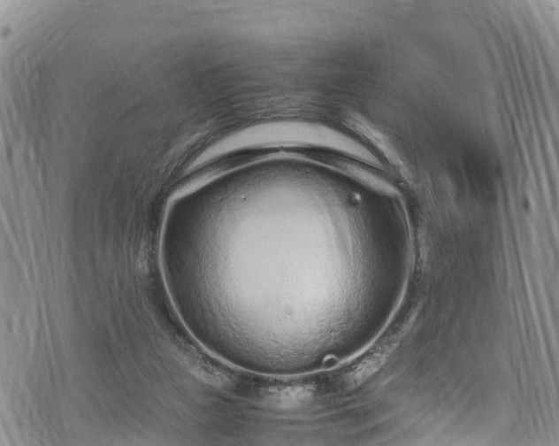 X0000074290161200609011416