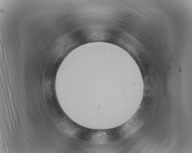 X0000074290162200609011416