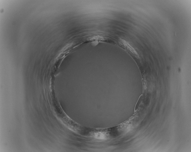 X0000074290163200609011416