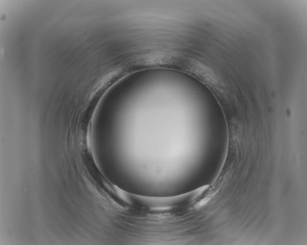 X0000074290164200609011416