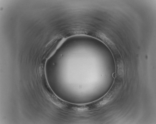 X0000074290165200609011416