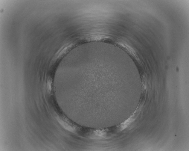 X0000074290166200609011416