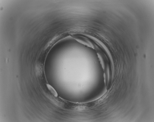 X0000074290168200609011416