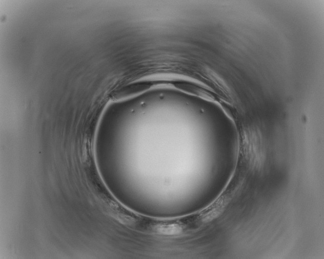 X0000074290169200609011416