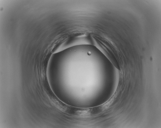 X0000074290170200609011416