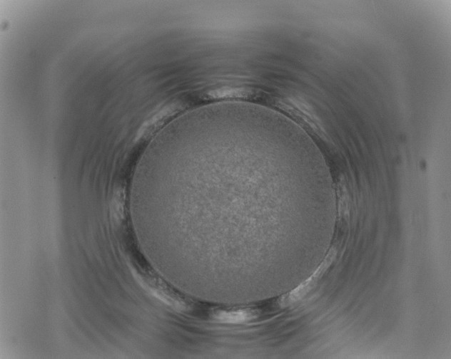 X0000074290171200609011416