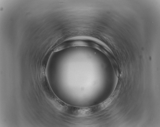 X0000074290172200609011416