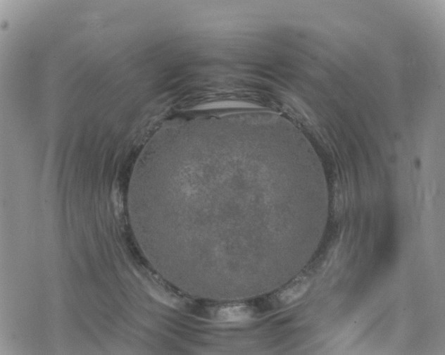 X0000074290173200609011416