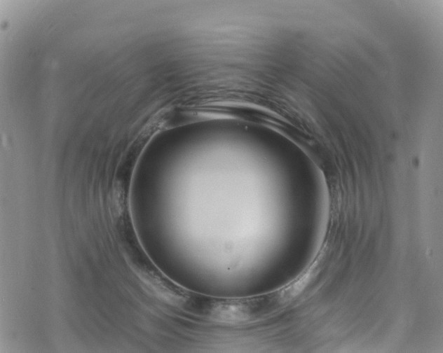 X0000074290174200609011416