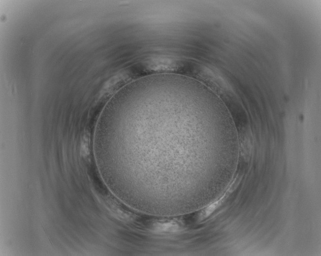 X0000074290175200609011416