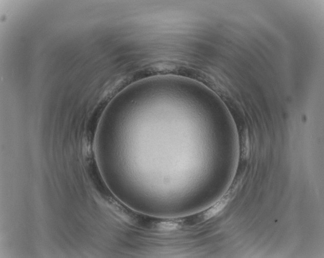 X0000074290176200609011416