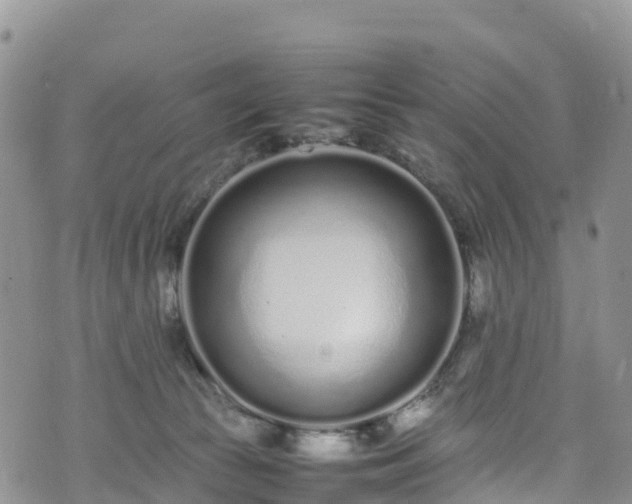 X0000074290177200609011416