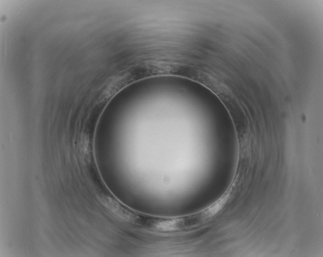 X0000074290178200609011416