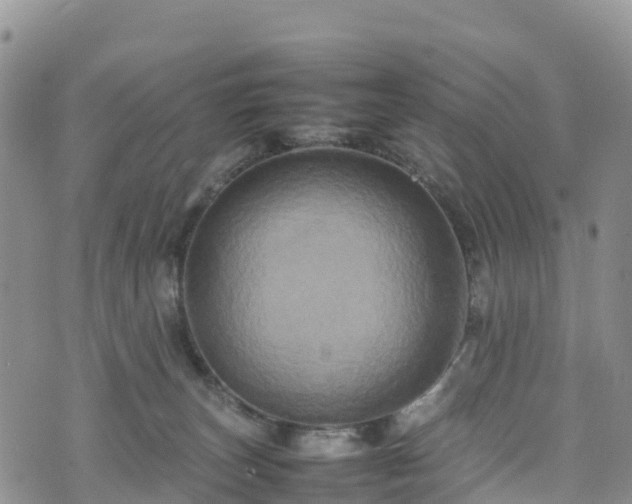 X0000074290179200609011416