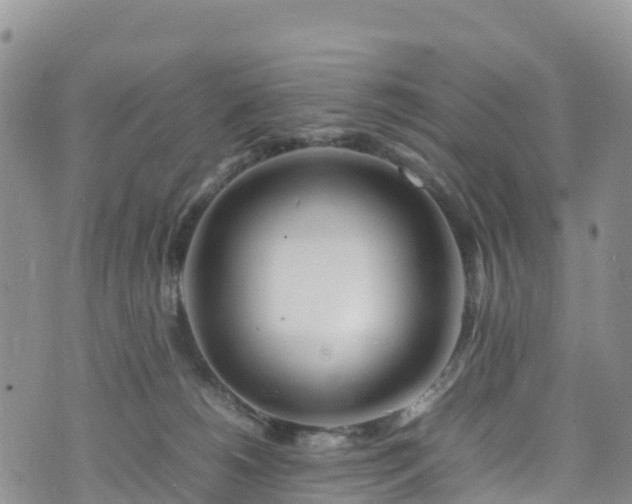 X0000074290180200609011416