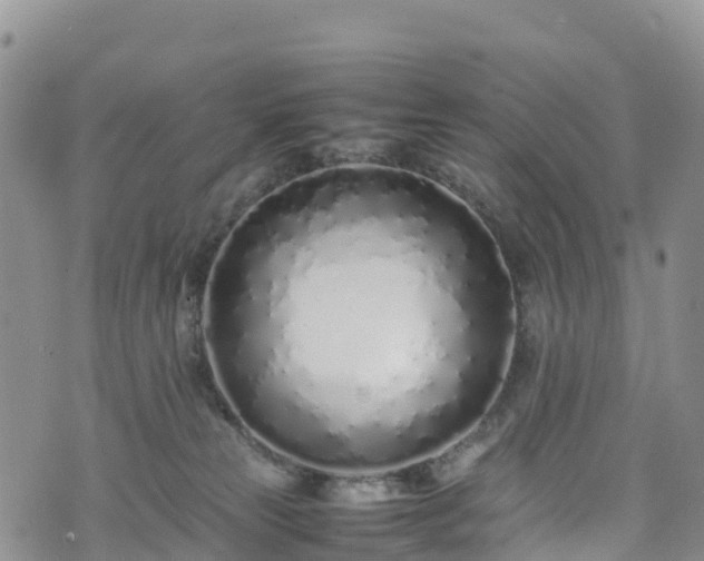 X0000074290181200609011416