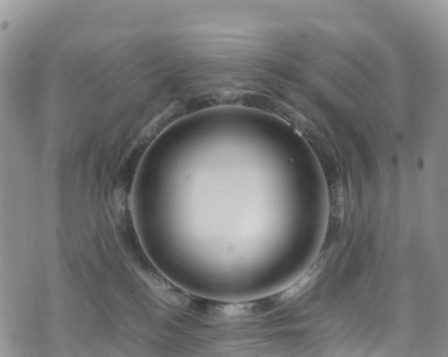 X0000074290184200609011416