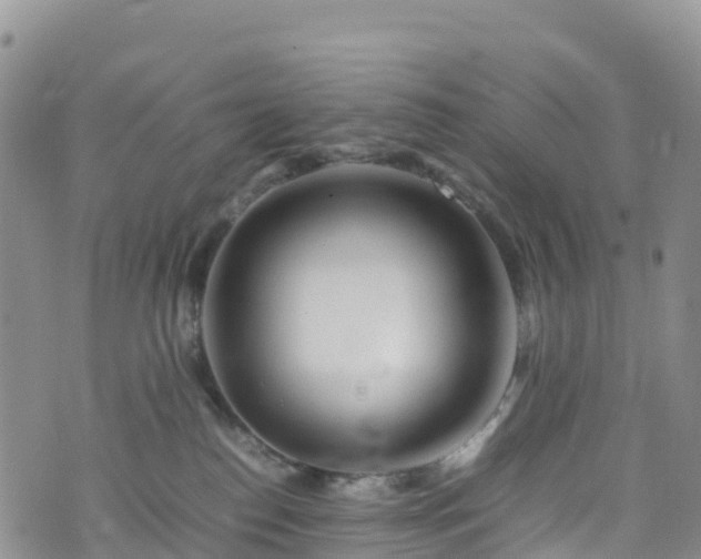 X0000074290186200609011416