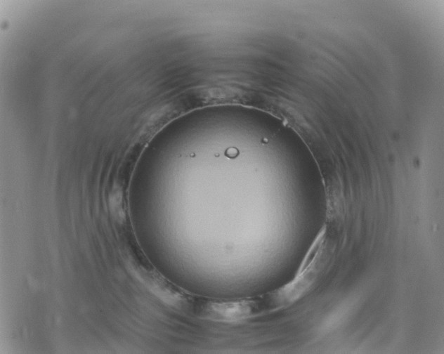 X0000074290187200609011416