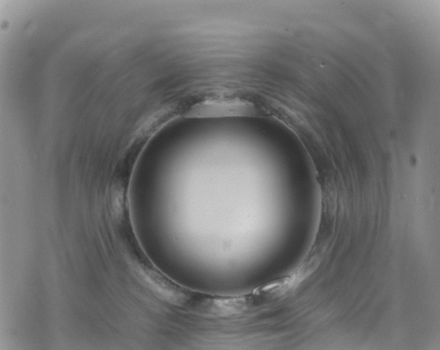 X0000074290188200609011416