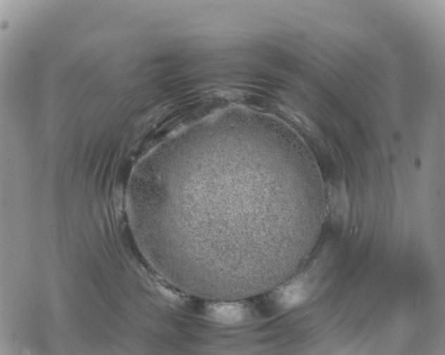 X0000074290189200609011416