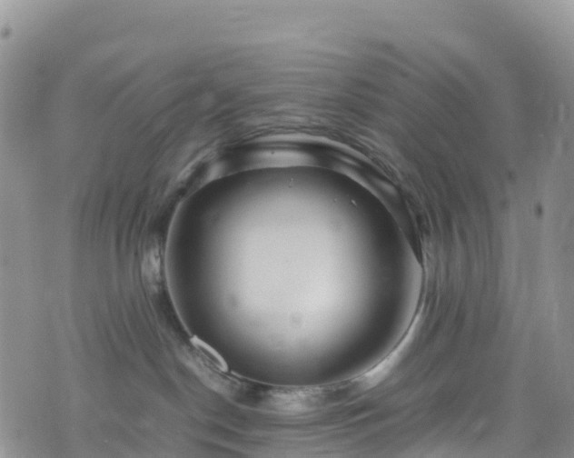 X0000074290190200609011416